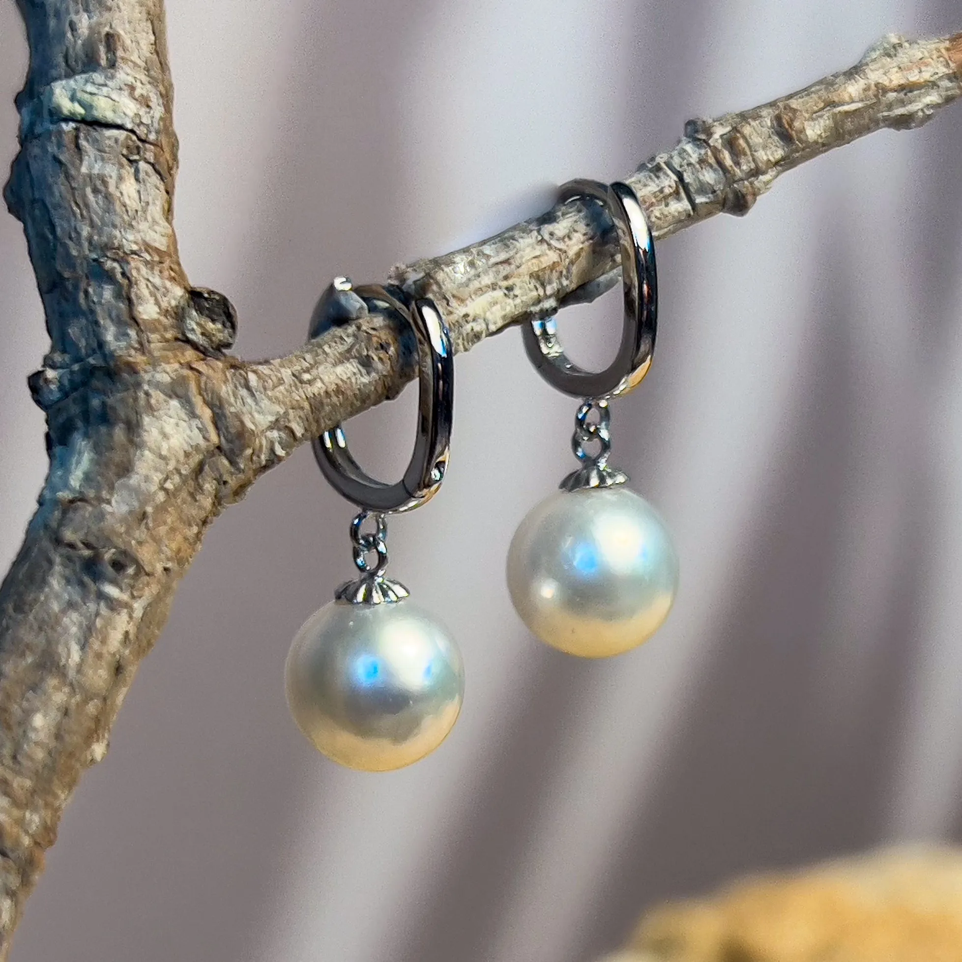 9kt White Gold huggie style South Sea 8.5-9mm Pearl earrings