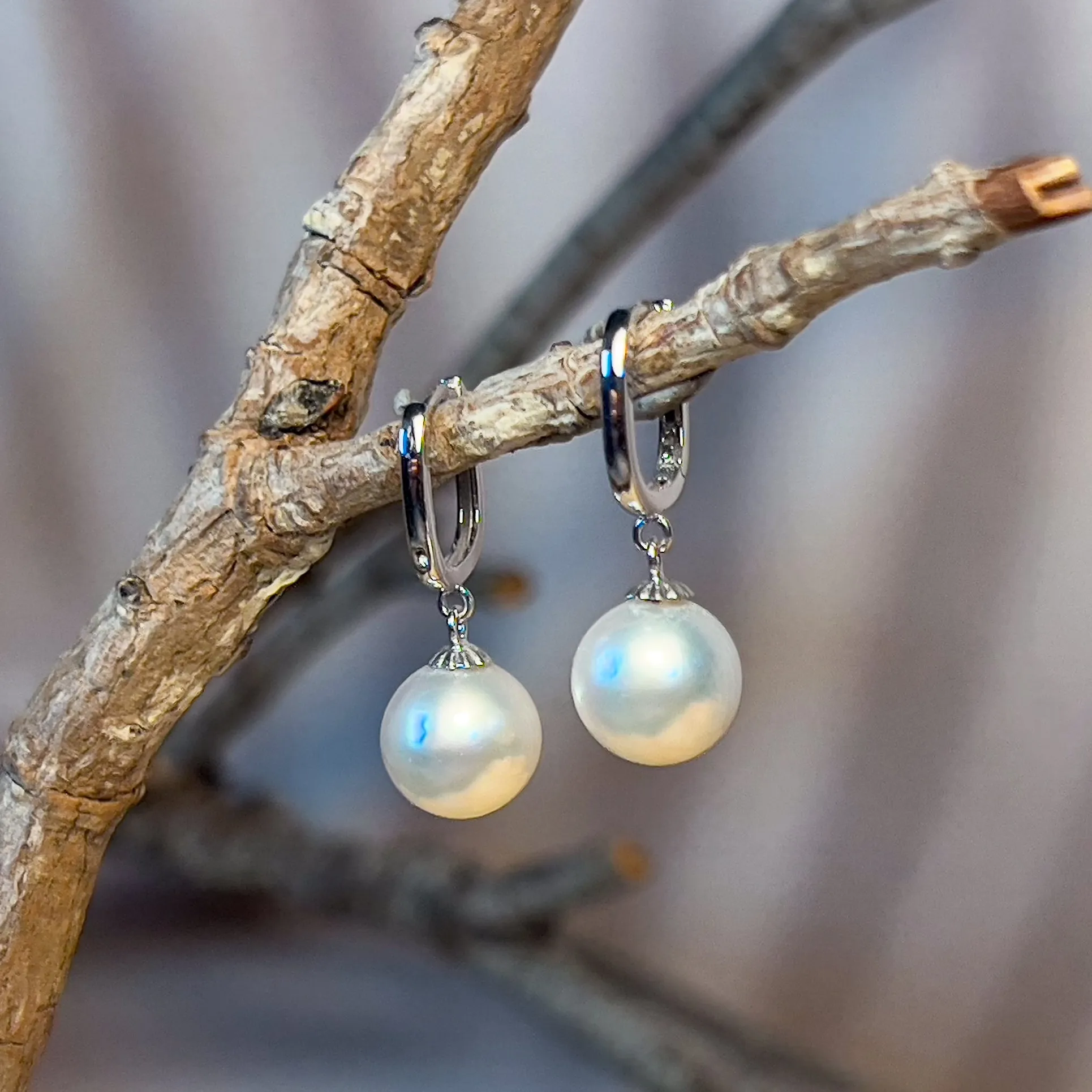 9kt White Gold huggie style South Sea 8.5-9mm Pearl earrings