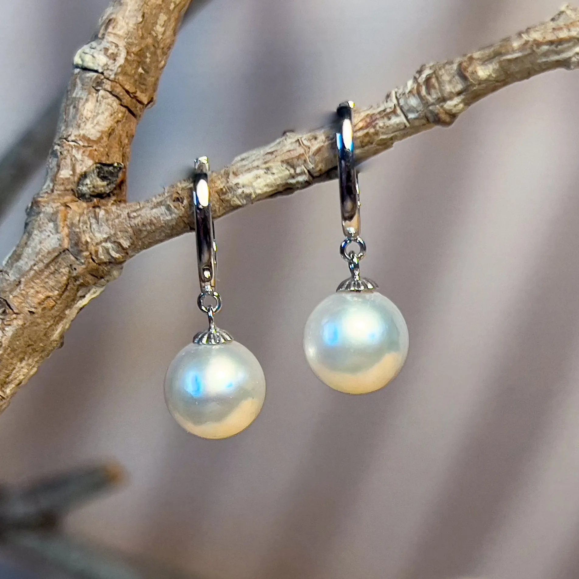 9kt White Gold huggie style South Sea 8.5-9mm Pearl earrings