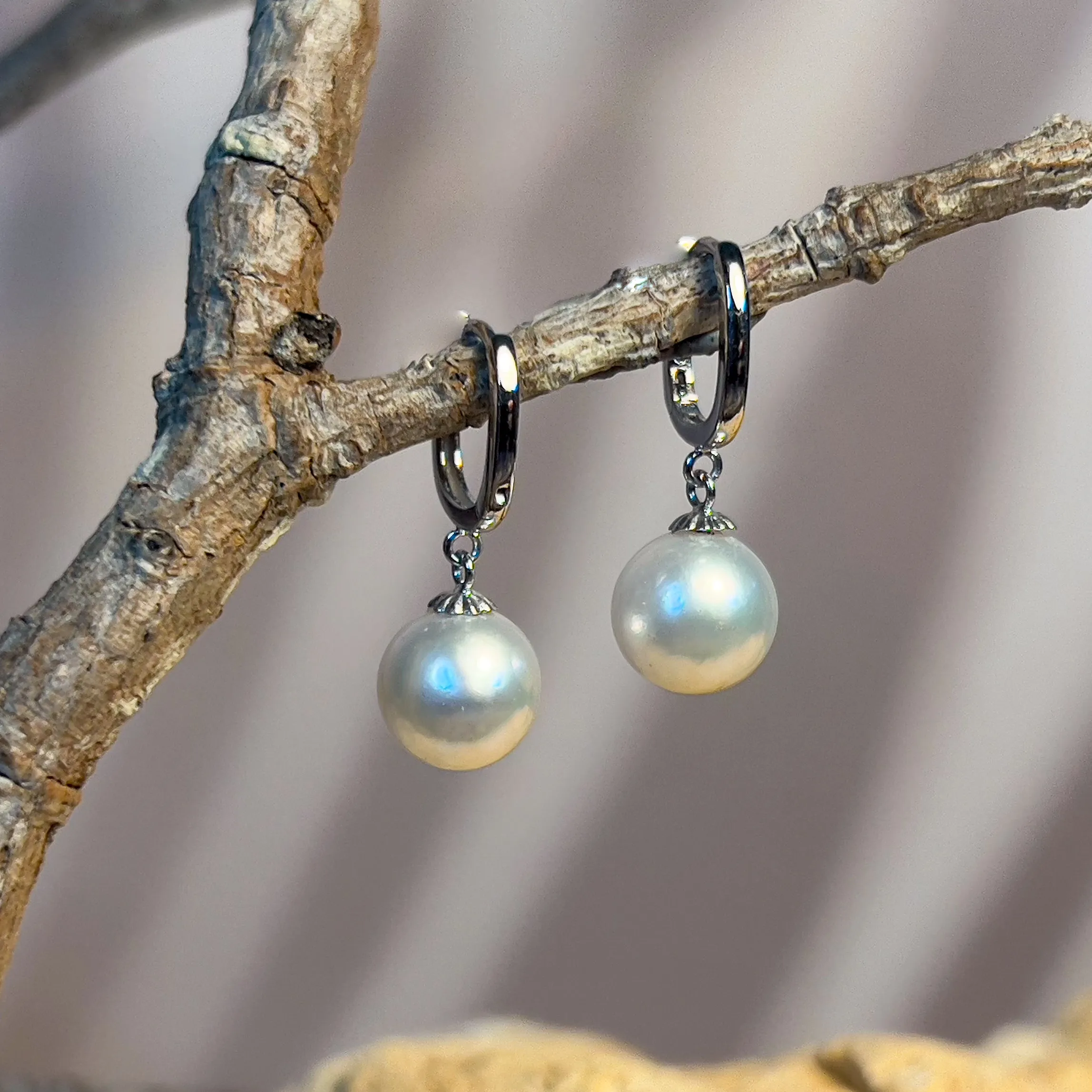 9kt White Gold huggie style South Sea 8.5-9mm Pearl earrings