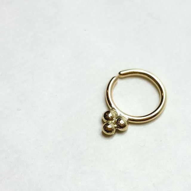 Bindi Mod - 14k Gold Daith Earring