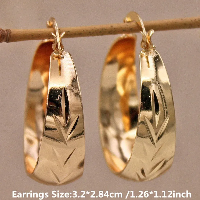 Luxurious Trendy Hoop Earrings for Women
