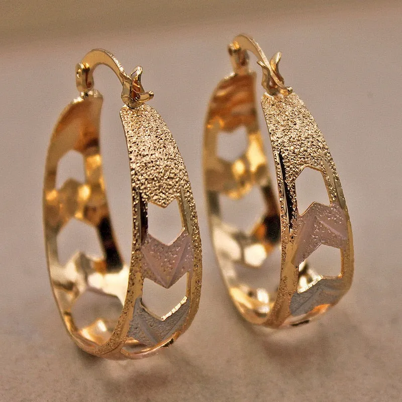 Luxurious Trendy Hoop Earrings for Women
