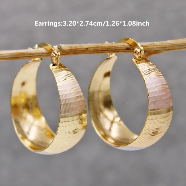 Luxurious Trendy Hoop Earrings for Women