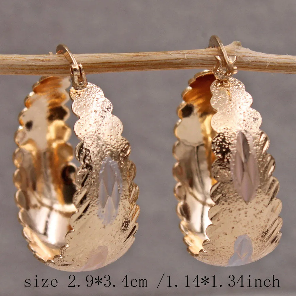 Luxurious Trendy Hoop Earrings for Women