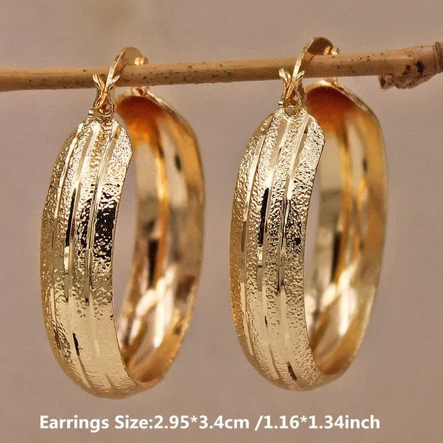 Luxurious Trendy Hoop Earrings for Women