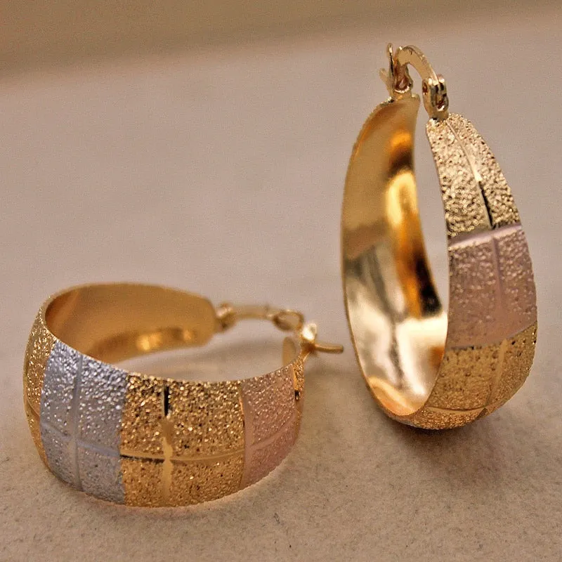 Luxurious Trendy Hoop Earrings for Women