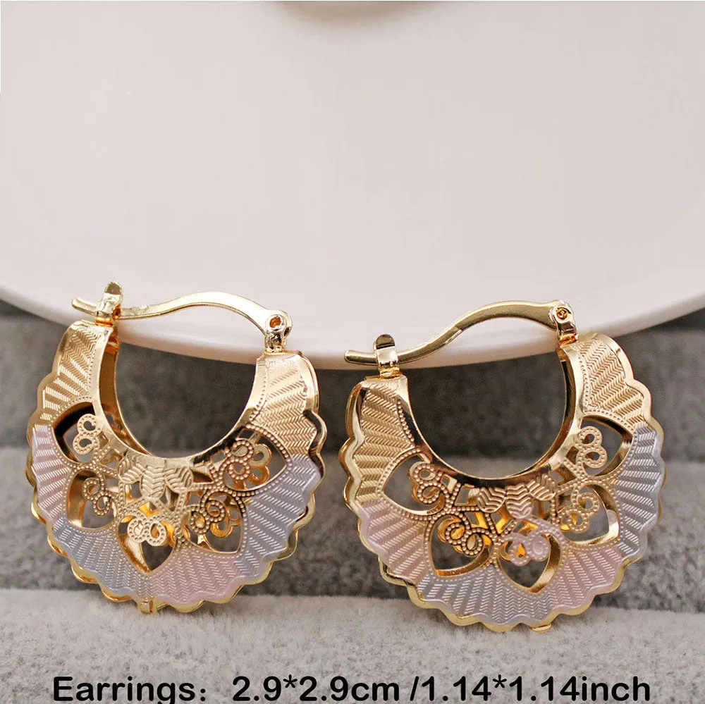 Luxurious Trendy Hoop Earrings for Women