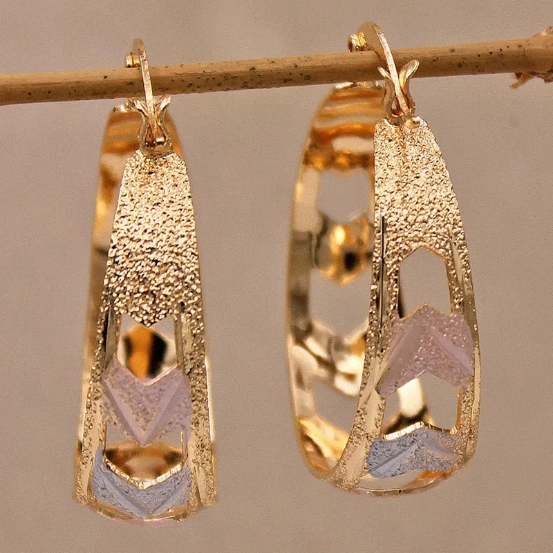 Luxurious Trendy Hoop Earrings for Women