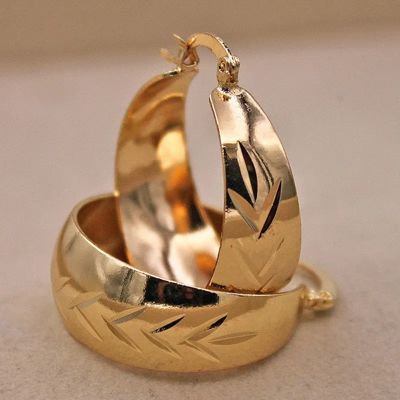 Luxurious Trendy Hoop Earrings for Women