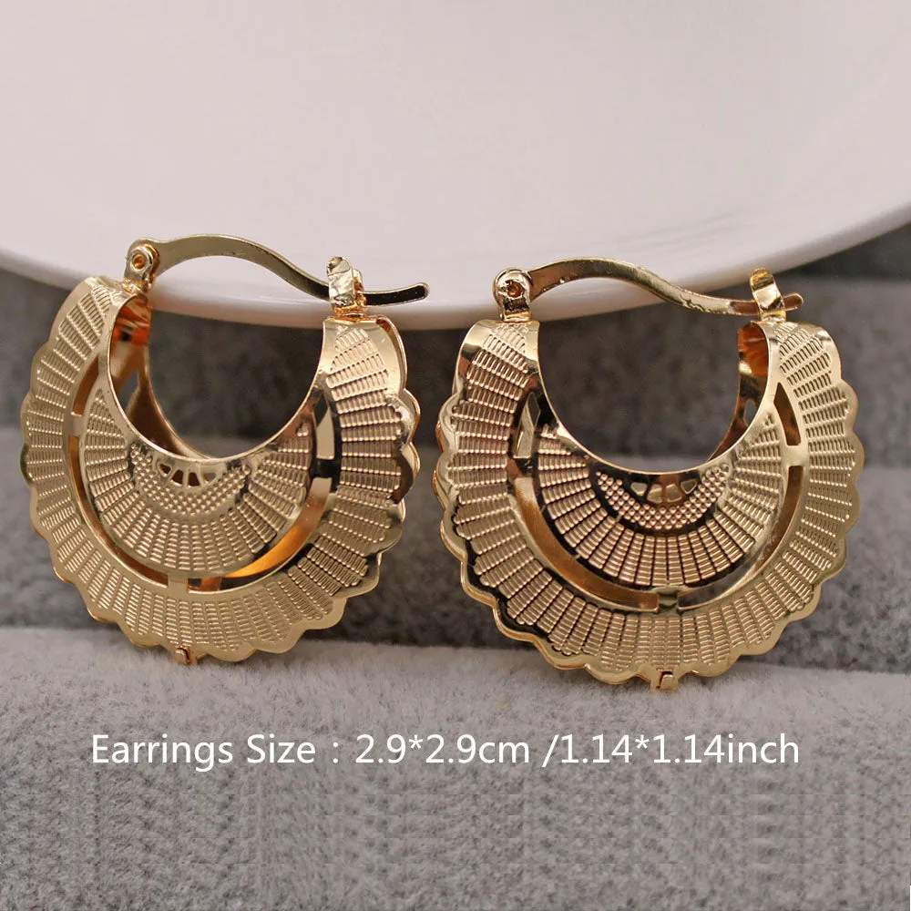 Luxurious Trendy Hoop Earrings for Women