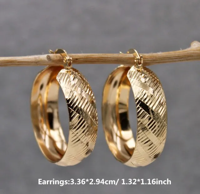 Luxurious Trendy Hoop Earrings for Women