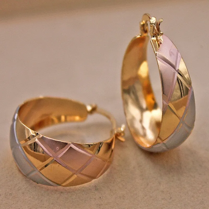 Luxurious Trendy Hoop Earrings for Women