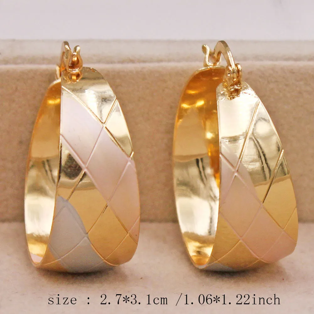 Luxurious Trendy Hoop Earrings for Women