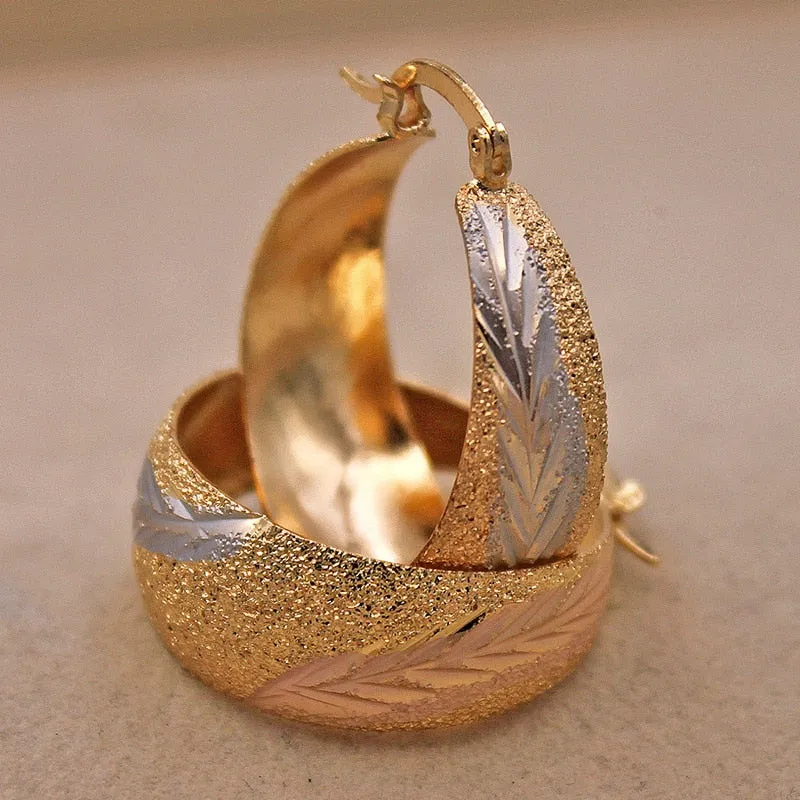 Luxurious Trendy Hoop Earrings for Women