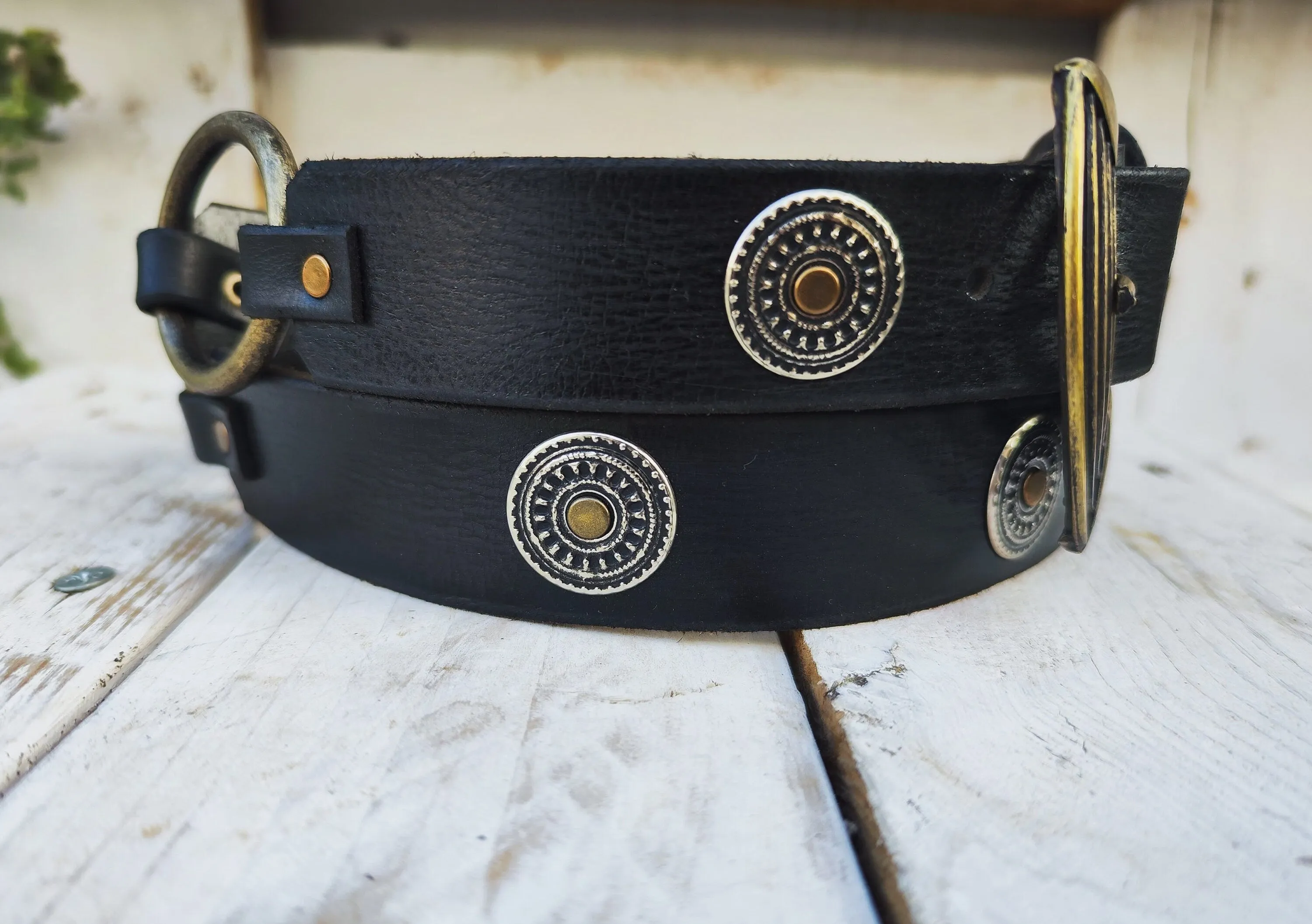 Unique Bohemian Leather Belt with Silver Coins and Gold Rivets