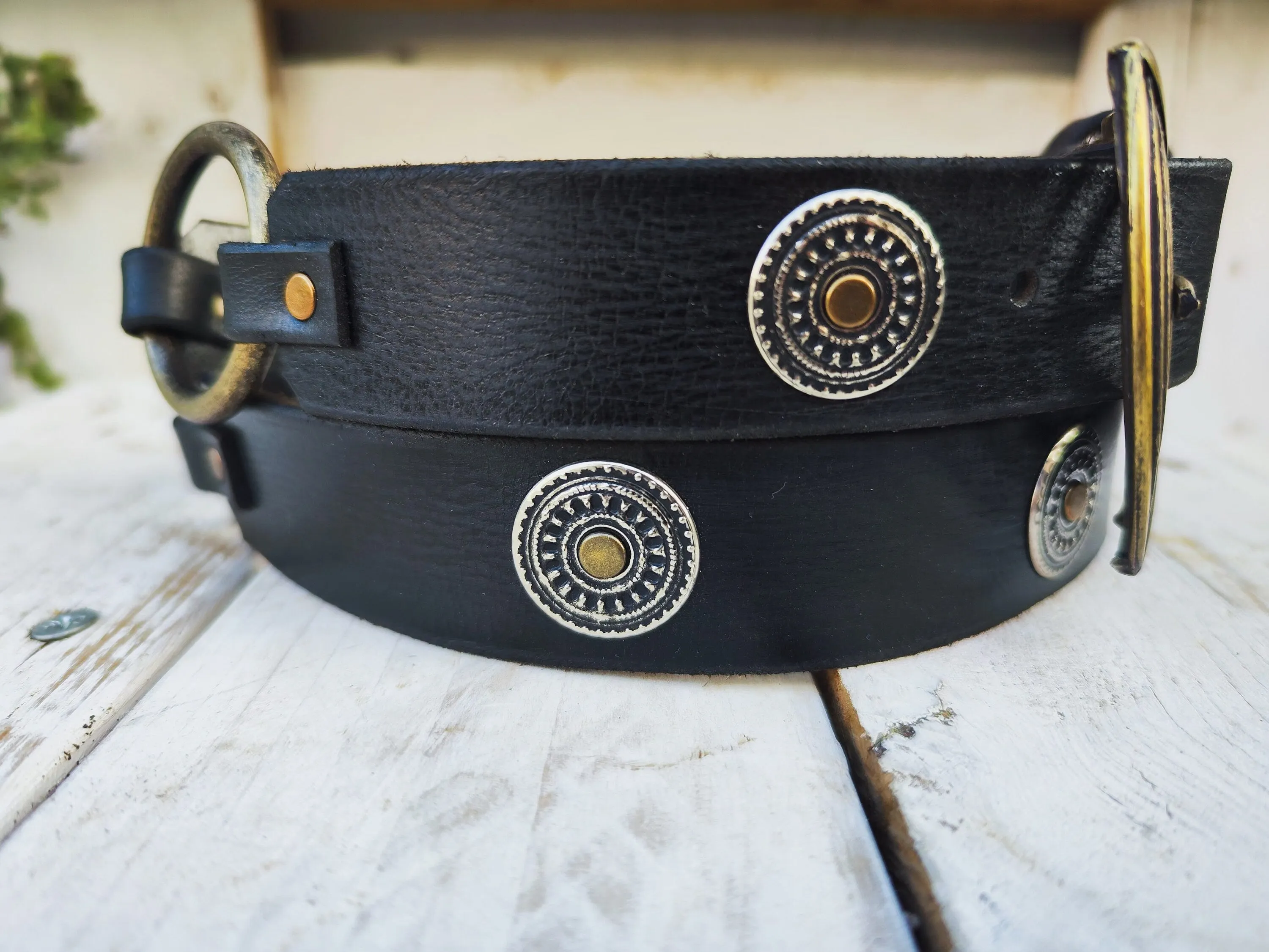 Unique Bohemian Leather Belt with Silver Coins and Gold Rivets